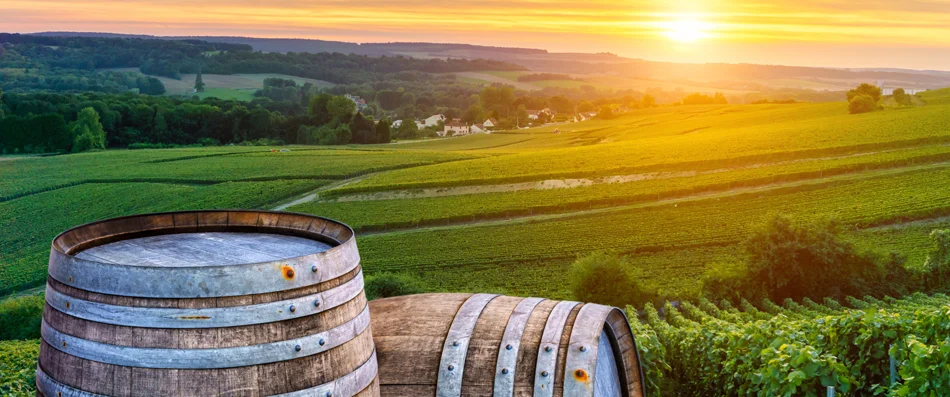Champagne Ardennes, tonneaux et paysage