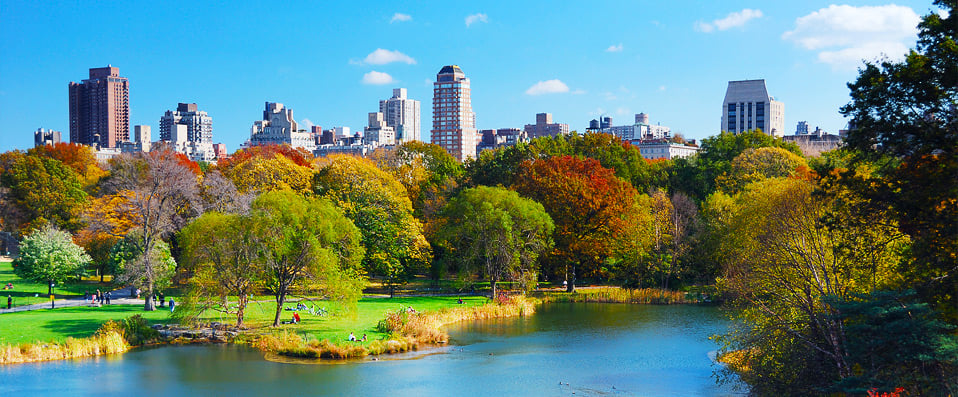 Central Park, New York