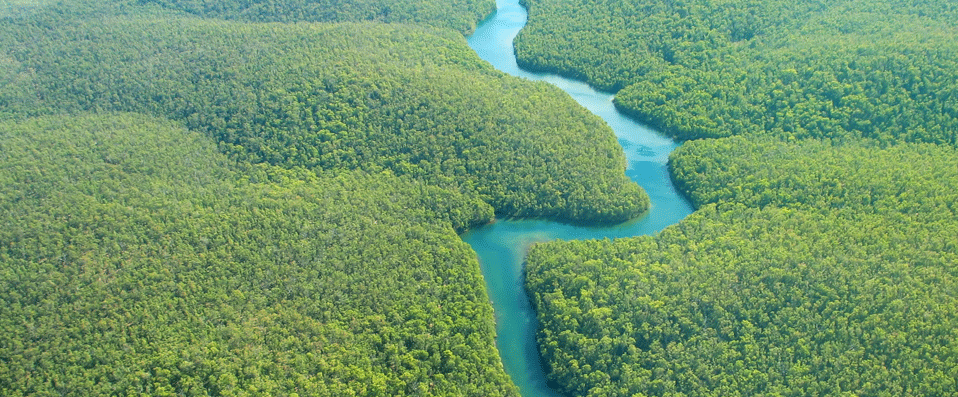 Forêt amazonienne & son fleuve Amazone