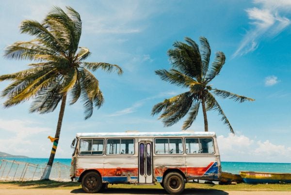 Autobus et palmiers, Jamaïque