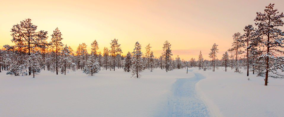Laponie finlandaise au coucher du soleil