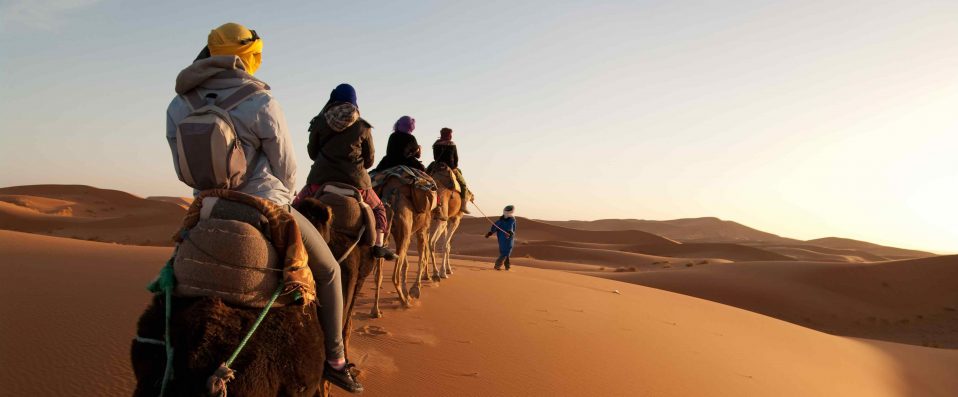 Balade en chameau dans le désert