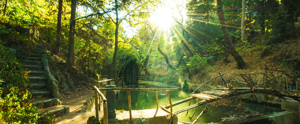 Parc de Rodini