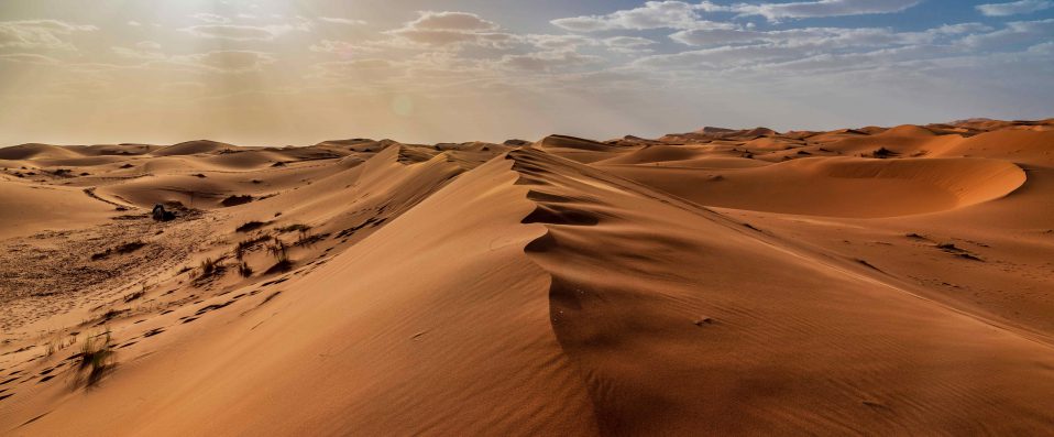 Sahara, Afrique
