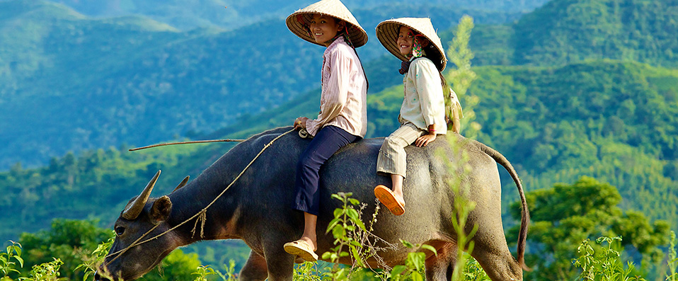 Deux filles sur un boeuf au Vietnam