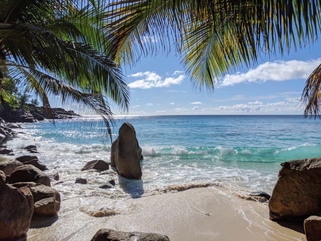 Plage de sable et palmiers aux Seychelles