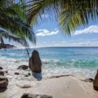 Plage de sable et palmiers aux Seychelles