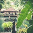 Jungle, partir à Bali