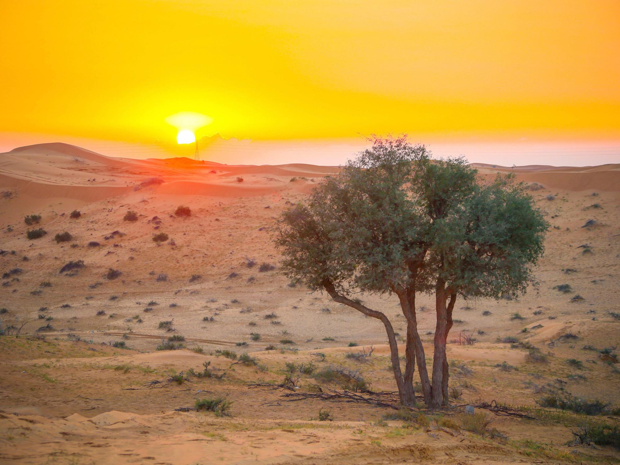 ras-al-khaimah-desert-sunset