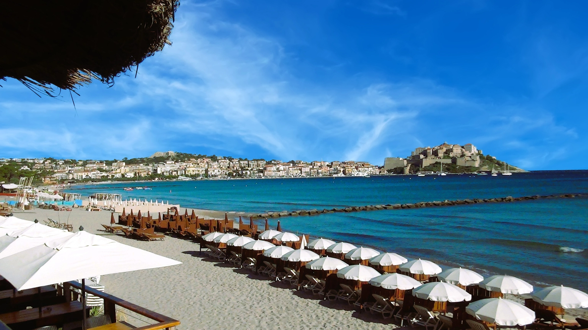 Calvi