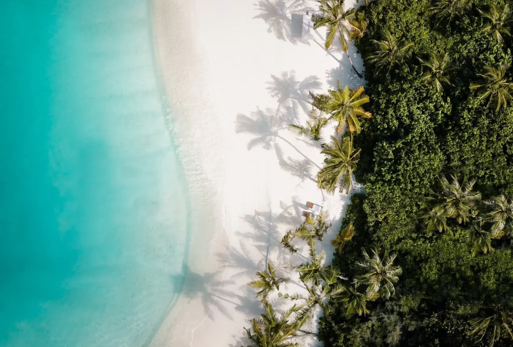Plage paradisiaque aux Maldives avec sable blanc et cocotiers
