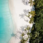 Plage paradisiaque aux Maldives avec sable blanc et cocotiers