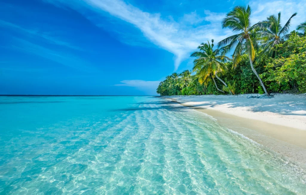 Plage paradisiaque des Maldives avec sable blanc, eau turquoise et palmiers – Top 10 plages Maldives