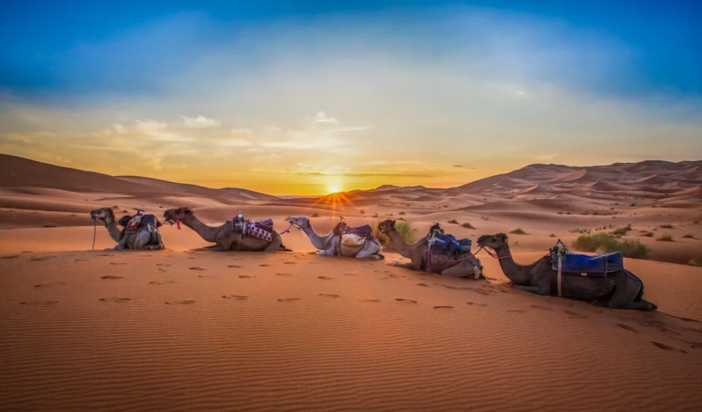 Balade en dromadaire dans le désert de Merzouga au coucher du soleil – Itinéraire Maroc VeryChic