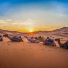 Balade en dromadaire dans le désert de Merzouga au coucher du soleil – Itinéraire Maroc VeryChic
