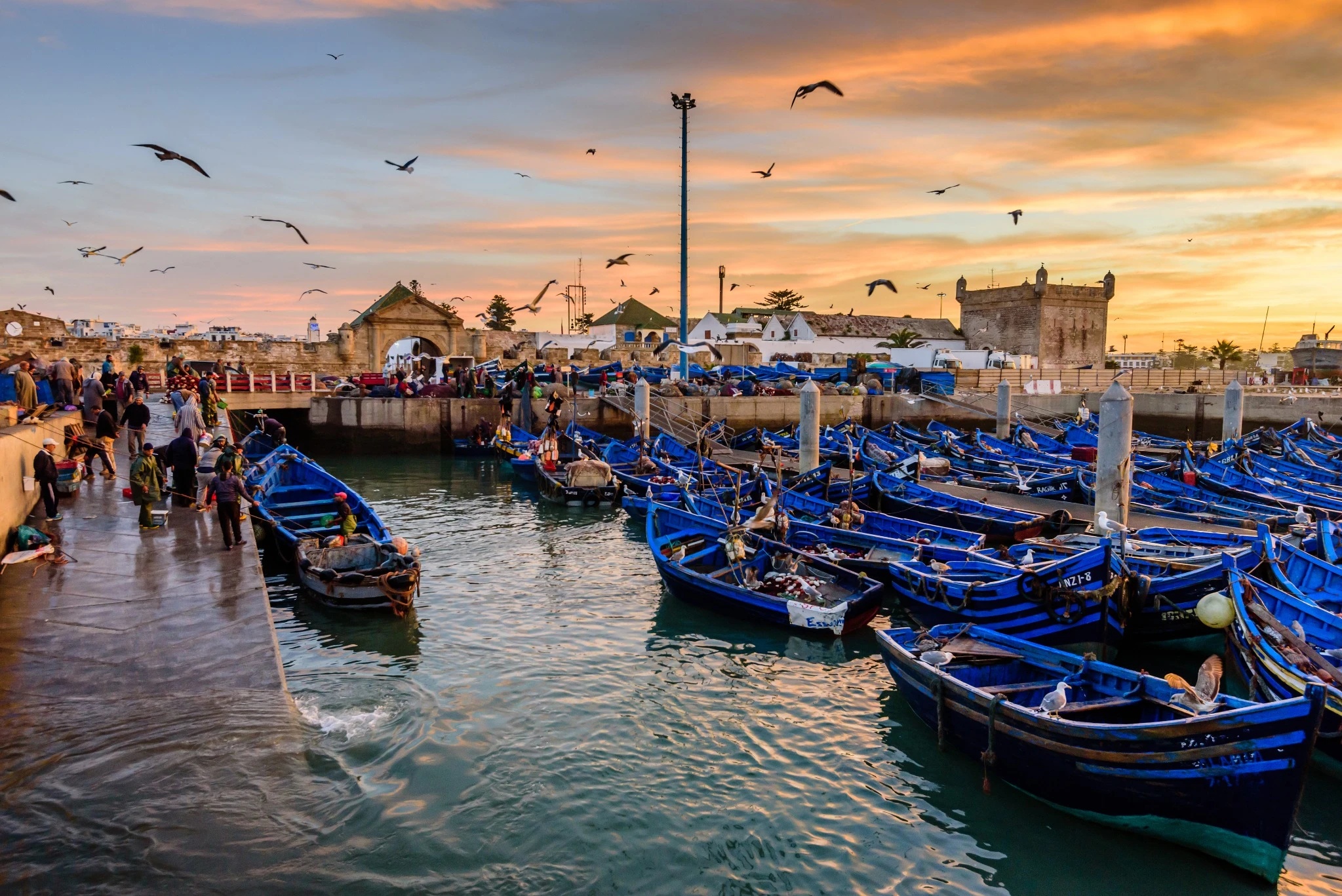 Port d’Essaouira au coucher du soleil avec barques bleues – Fin de circuit au Maroc