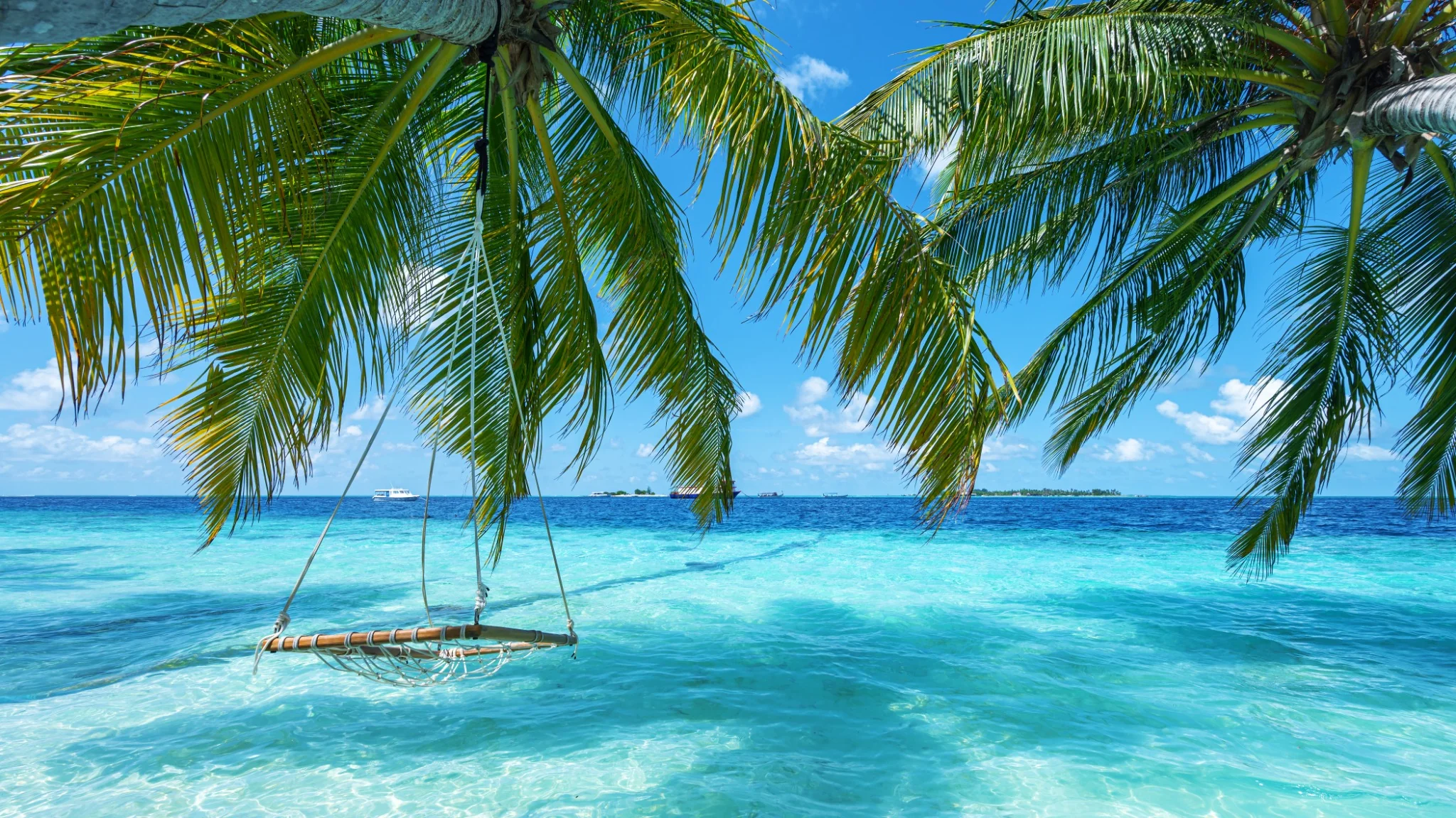 Balançoire suspendue à un palmier au-dessus d’un lagon turquoise aux Maldives