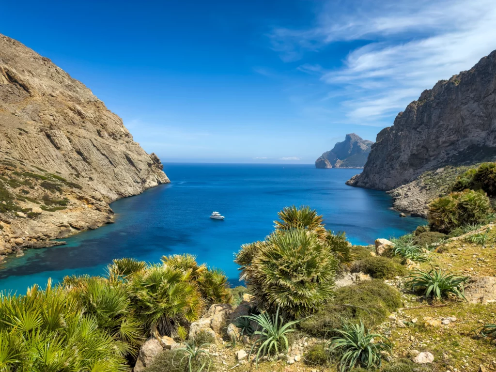 hotel luxe majorque 2026 finca piscine vue mer serra tramuntana